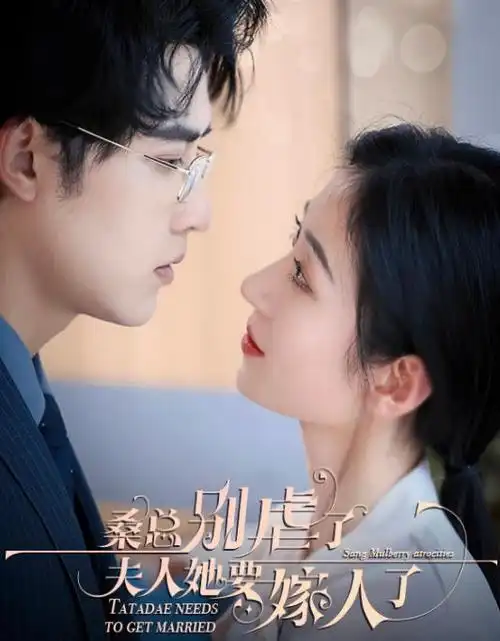 电视剧《追风者》王一博主演